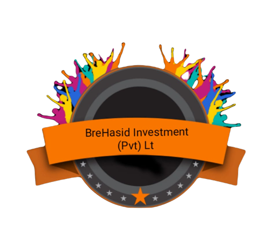 Brehasid Investments Holdings  Pvt Ltd